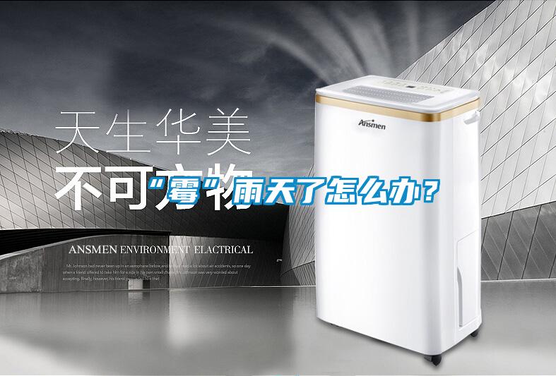 “霉”雨天了怎么辦？