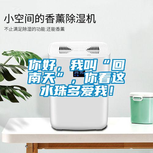 你好，我叫“回南天”，你看這水珠多愛我！