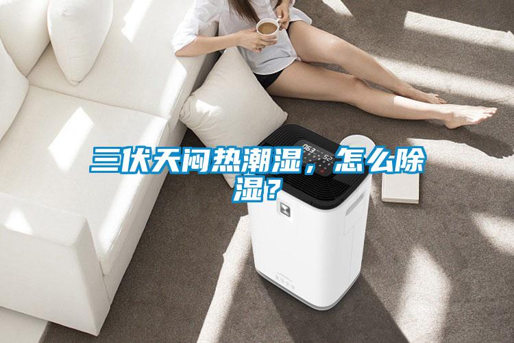 三伏天悶熱潮濕，怎么除濕？