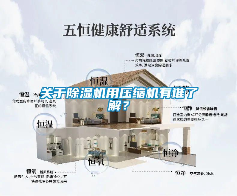 關(guān)于除濕機(jī)用壓縮機(jī)有誰(shuí)了解？