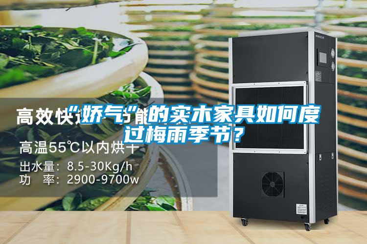 “嬌氣”的實(shí)木家具如何度過梅雨季節(jié)？