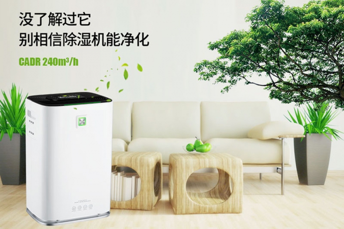 一到回南天狗狗就感冒+皮膚病，怎么辦？