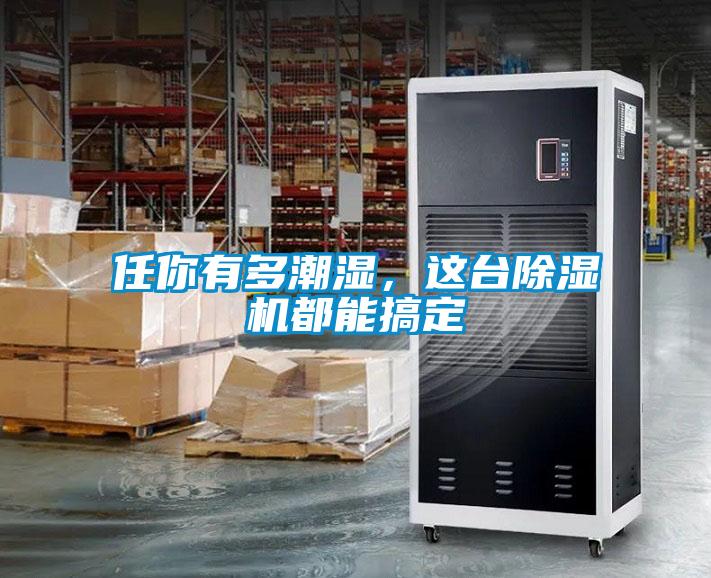 任你有多潮濕，這臺(tái)除濕機(jī)都能搞定