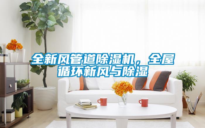 全新風(fēng)管道除濕機，全屋循環(huán)新風(fēng)與除濕