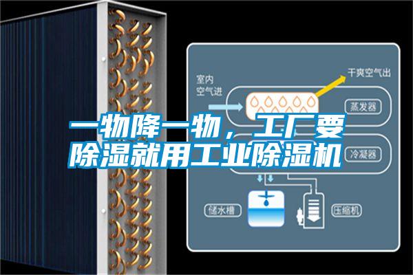 一物降一物，工廠要除濕就用工業(yè)除濕機