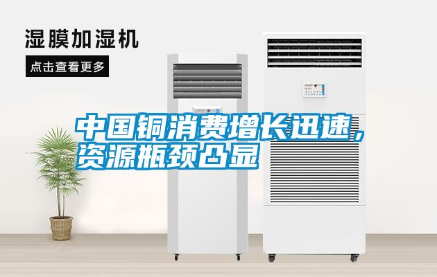 中國銅消費增長迅速，資源瓶頸凸顯
