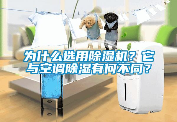 為什么選用除濕機(jī)？它與空調(diào)除濕有何不同？