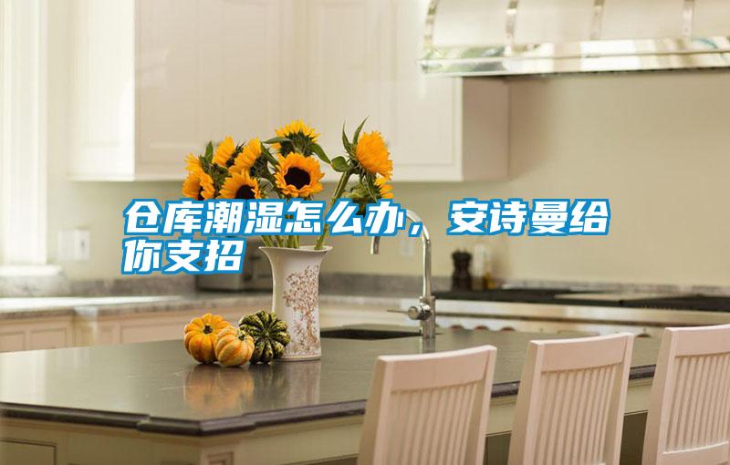倉(cāng)庫(kù)潮濕怎么辦，安詩(shī)曼給你支招