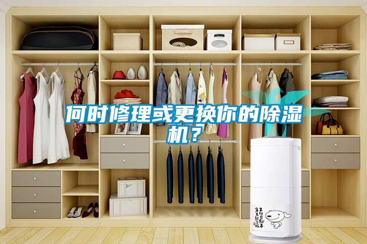 何時(shí)修理或更換你的除濕機(jī)？