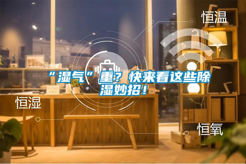 “濕氣”重？快來看這些除濕妙招！