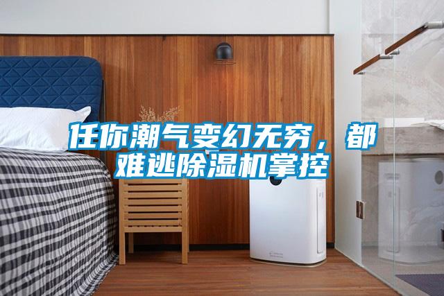 任你潮氣變幻無(wú)窮，都難逃除濕機(jī)掌控