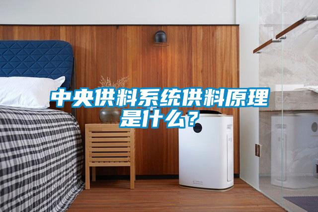 中央供料系統(tǒng)供料原理是什么？
