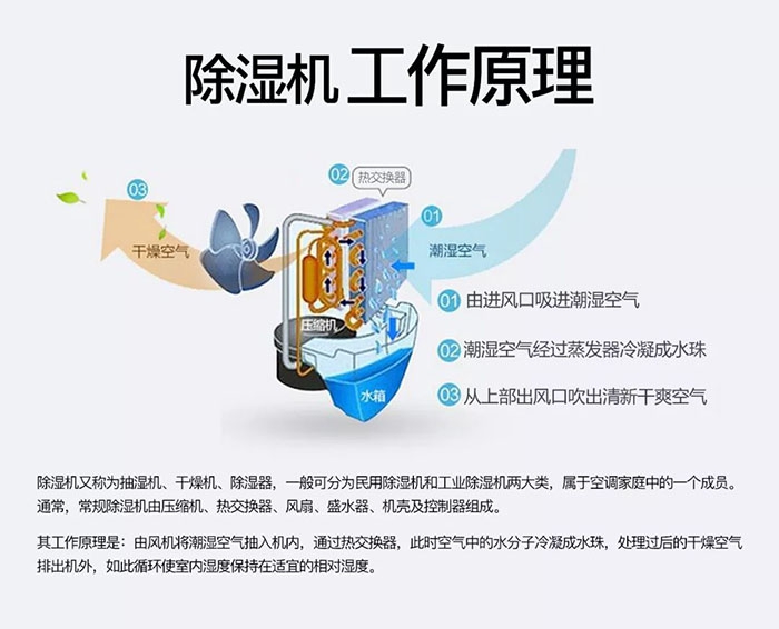 南方梅雨季到了房屋墻壁滲水、返潮怎么辦？