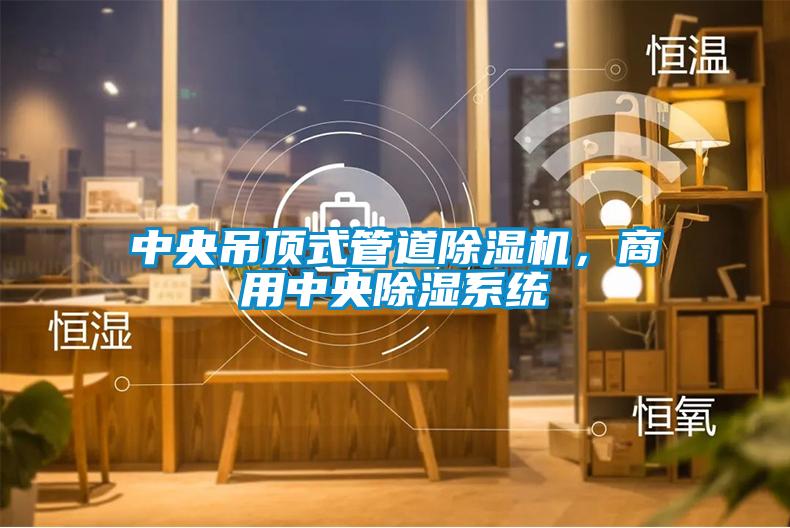 中央吊頂式管道除濕機(jī)，商用中央除濕系統(tǒng)