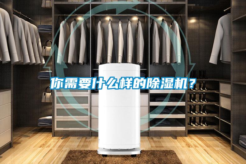 你需要什么樣的除濕機(jī)？