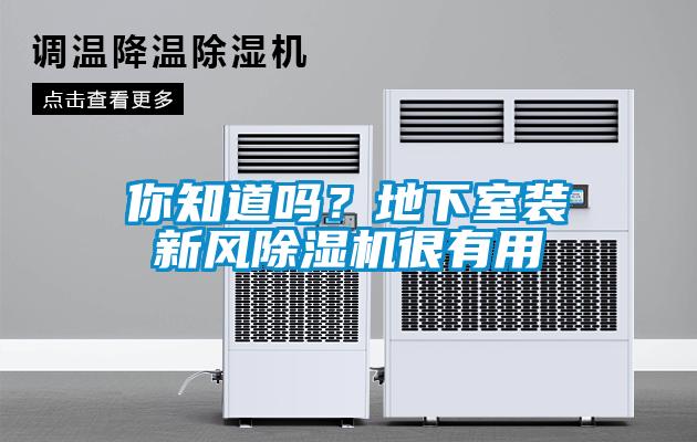 你知道嗎？地下室裝新風(fēng)除濕機(jī)很有用