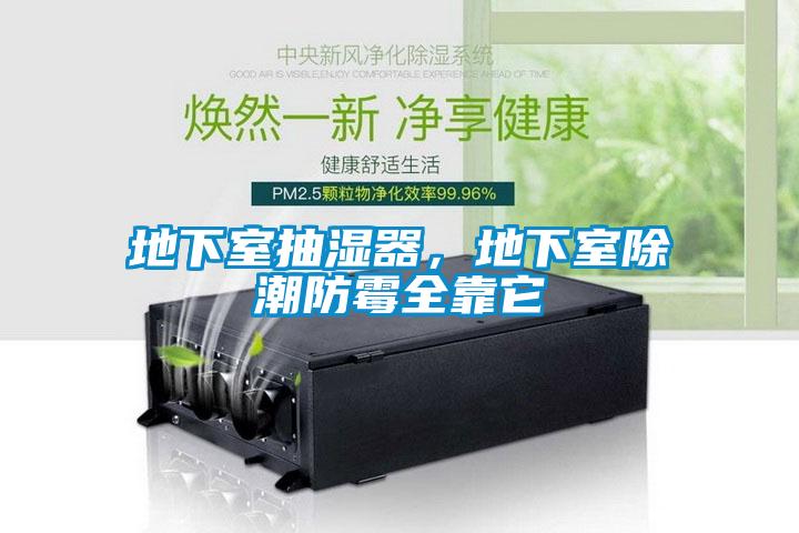 地下室抽濕器，地下室除潮防霉全靠它