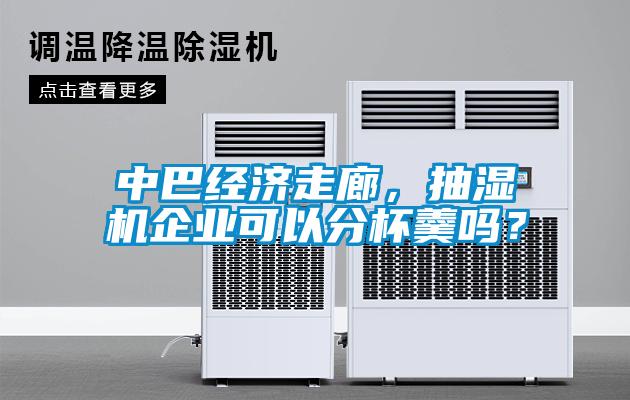 中巴經(jīng)濟(jì)走廊，抽濕機(jī)企業(yè)可以分杯羹嗎？