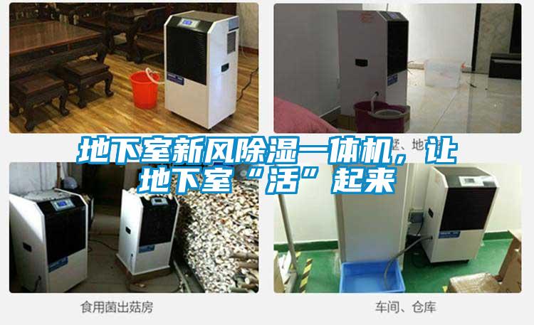 地下室新風(fēng)除濕一體機，讓地下室“活”起來