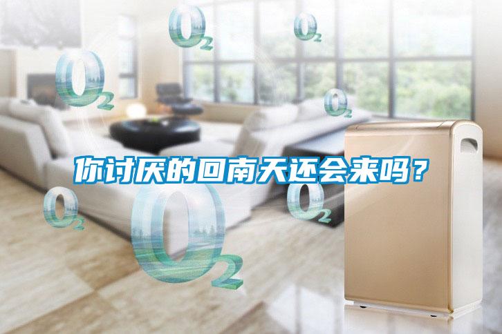 你討厭的回南天還會(huì)來嗎？