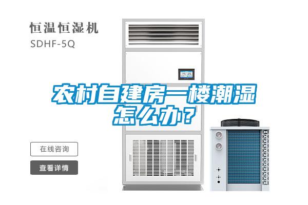 農(nóng)村自建房一樓潮濕怎么辦？