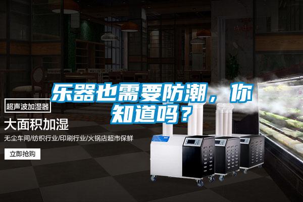 樂(lè)器也需要防潮，你知道嗎？
