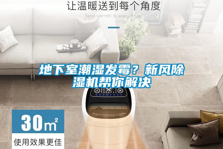 地下室潮濕發(fā)霉？新風(fēng)除濕機(jī)幫你解決