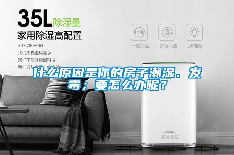 什么原因是你的房子潮濕、發(fā)霉；要怎么辦呢？