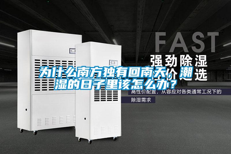 為什么南方獨(dú)有回南天，潮濕的日子里該怎么辦？