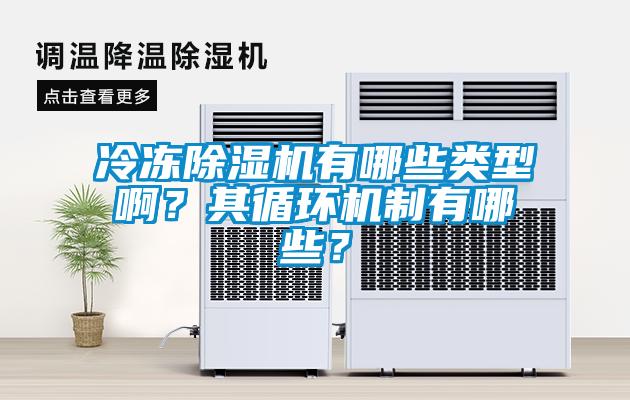 冷凍除濕機有哪些類型啊？其循環(huán)機制有哪些？