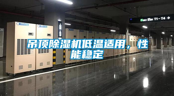 吊頂除濕機(jī)低溫適用，性能穩(wěn)定
