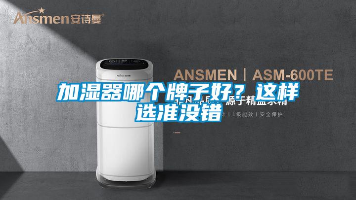 加濕器哪個牌子好？這樣選準(zhǔn)沒錯