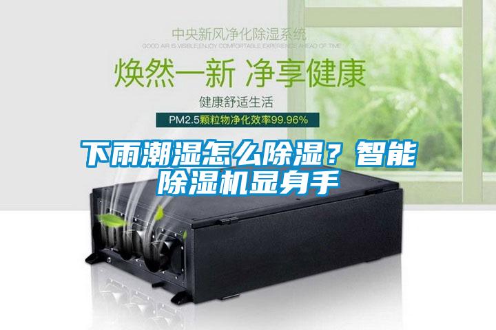 下雨潮濕怎么除濕？智能除濕機(jī)顯身手