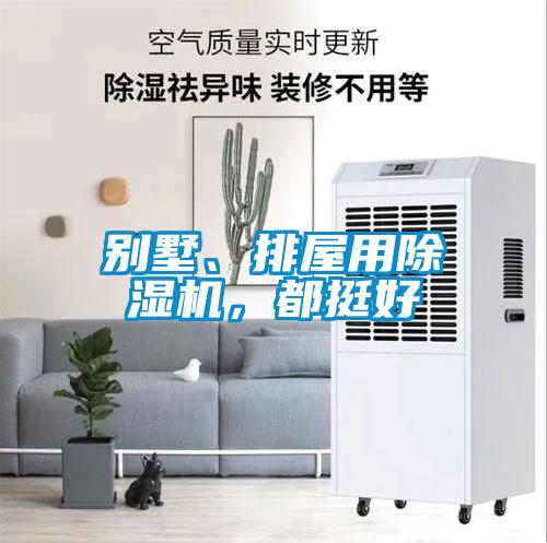 別墅、排屋用除濕機(jī)，都挺好