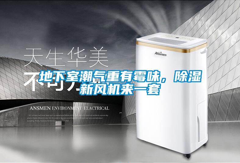 地下室潮氣重有霉味，除濕新風(fēng)機(jī)來一套