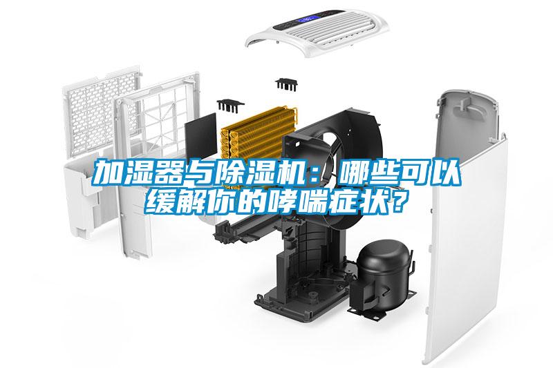 加濕器與除濕機(jī)：哪些可以緩解你的哮喘癥狀？