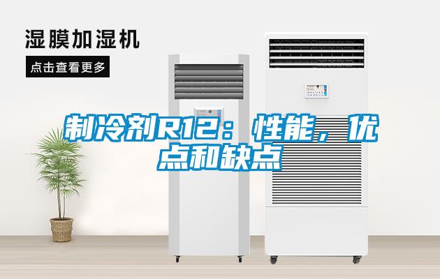 制冷劑R12：性能，優(yōu)點(diǎn)和缺點(diǎn)