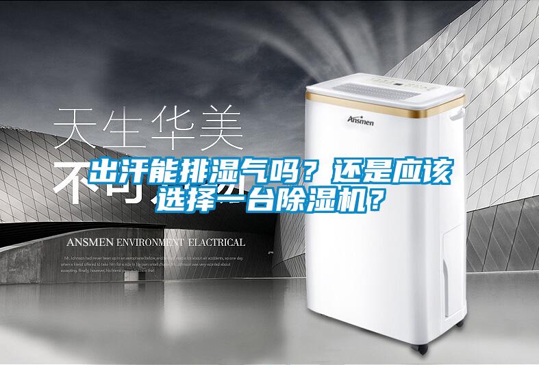 出汗能排濕氣嗎？還是應(yīng)該選擇一臺(tái)除濕機(jī)？
