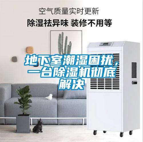 地下室潮濕困擾，一臺除濕機徹底解決