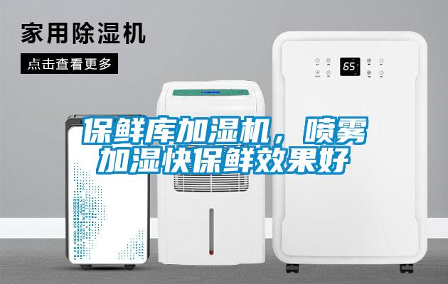 保鮮庫加濕機，噴霧加濕快保鮮效果好