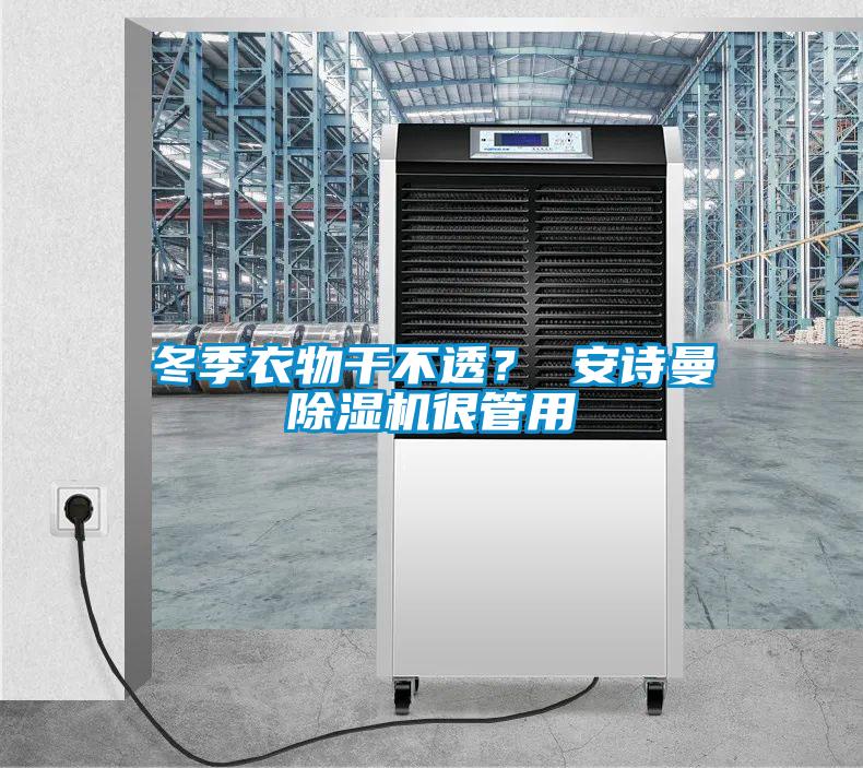 冬季衣物干不透？ 安詩曼除濕機很管用