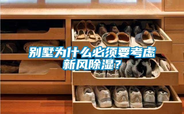 別墅為什么必須要考慮新風(fēng)除濕？