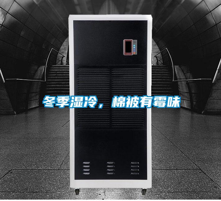 冬季濕冷，棉被有霉味