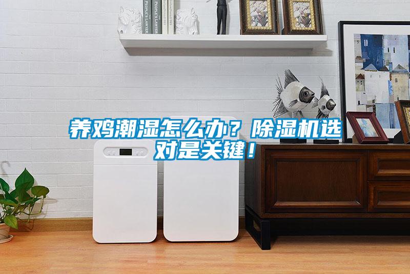 養(yǎng)雞潮濕怎么辦？除濕機(jī)選對是關(guān)鍵！