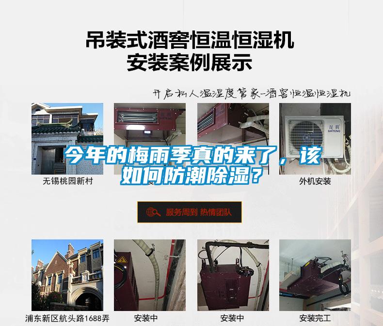 今年的梅雨季真的來(lái)了，該如何防潮除濕？