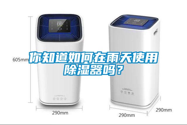 你知道如何在雨天使用除濕器嗎？