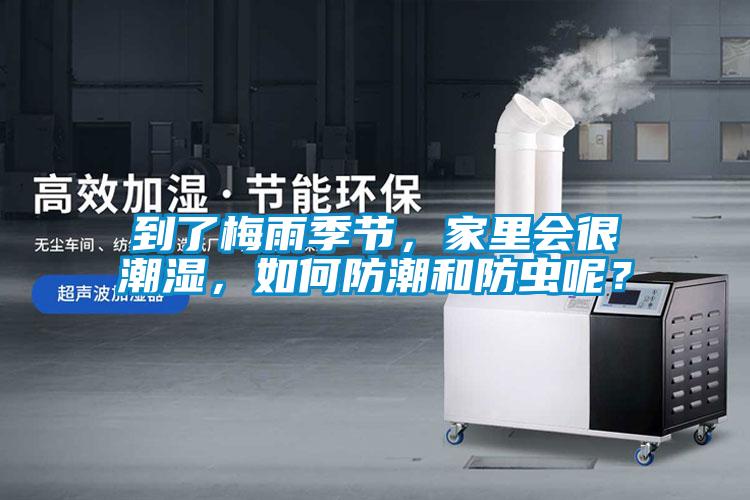 到了梅雨季節(jié)，家里會(huì)很潮濕，如何防潮和防蟲(chóng)呢？