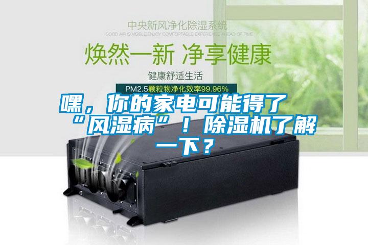 嘿，你的家電可能得了“風(fēng)濕病”！除濕機(jī)了解一下？