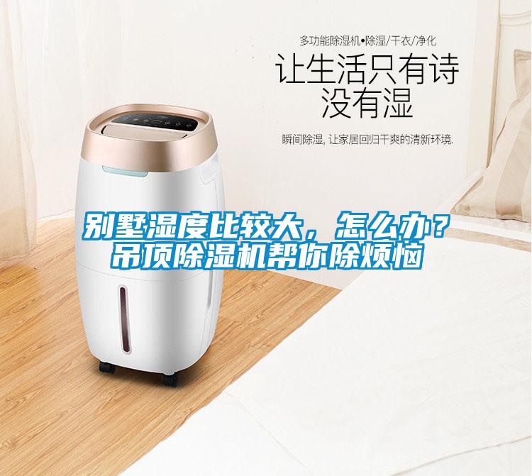 別墅濕度比較大，怎么辦？吊頂除濕機(jī)幫你除煩惱