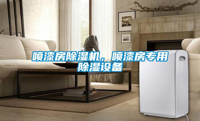 噴漆房除濕機(jī)，噴漆房專用除濕設(shè)備